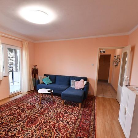 Dulcineea Apt- Free Parking-Family Friendly Тимишоара Экстерьер фото